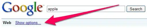 Google Search Options Link